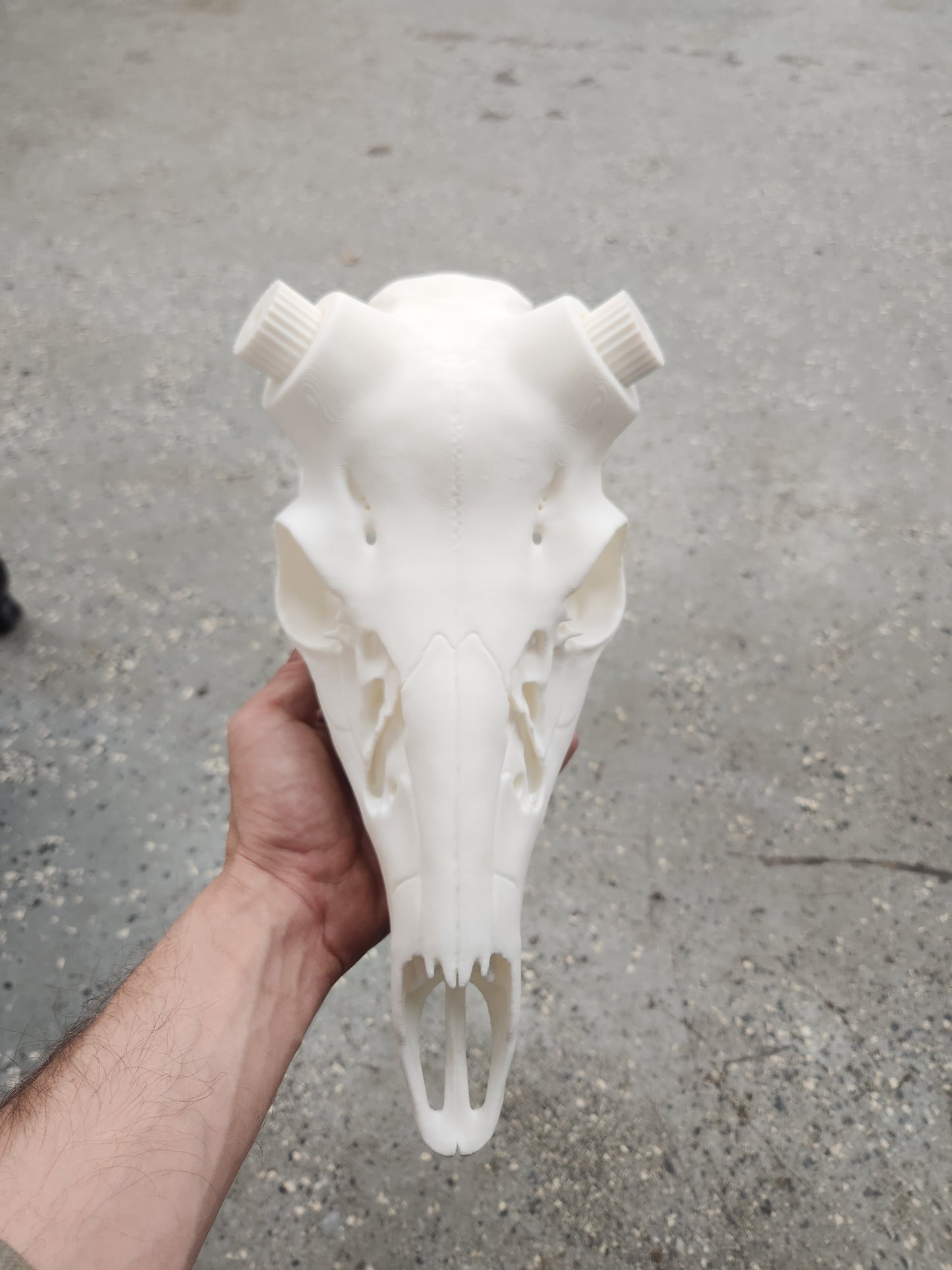 3D Printed Deer Skull Mount