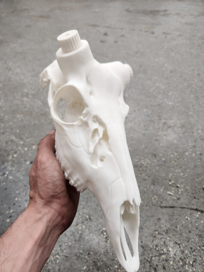 3D Printed Deer Skull Mount