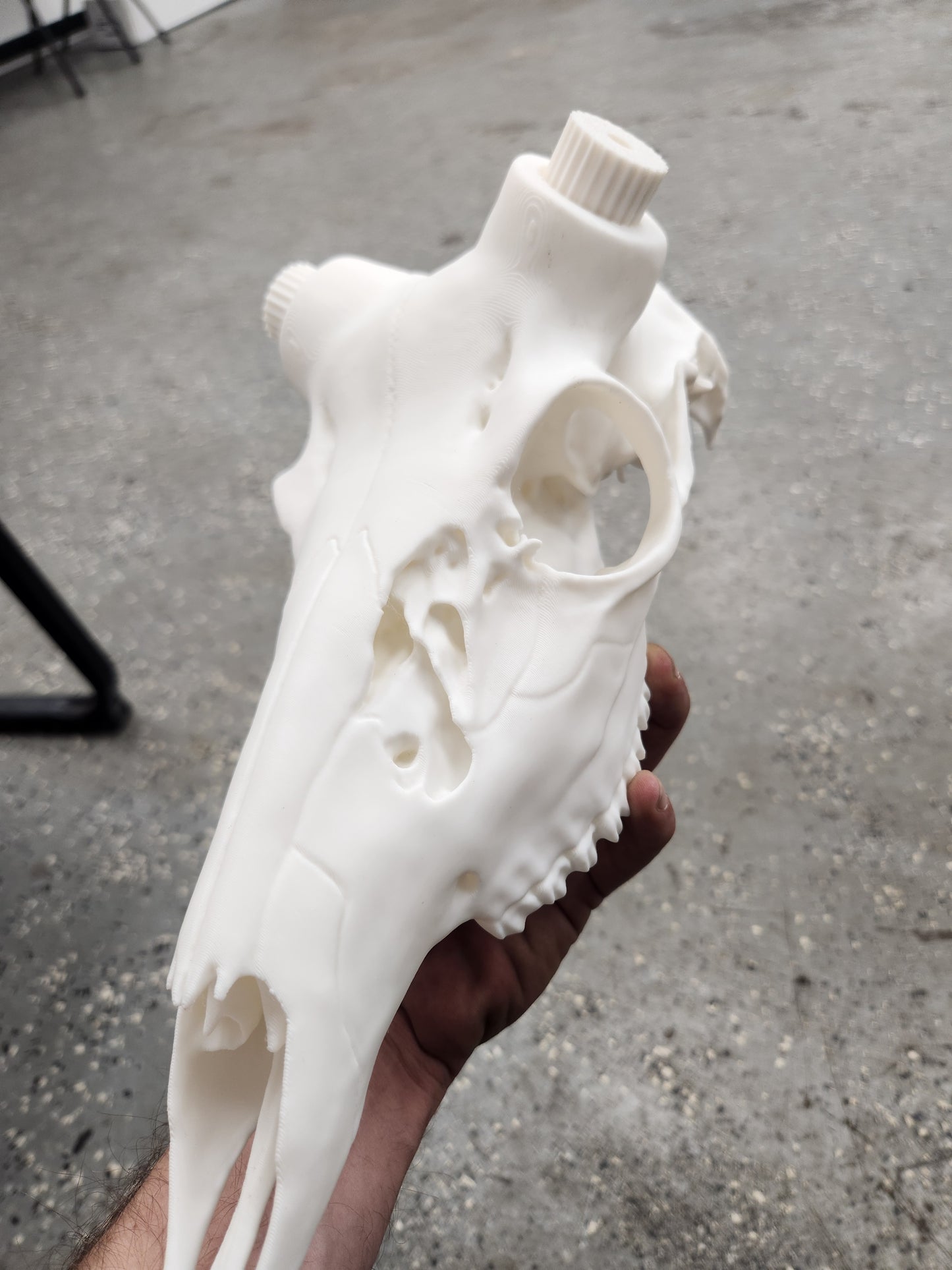 3D Printed Deer Skull Mount
