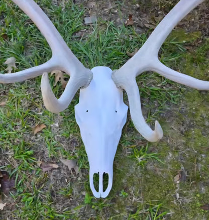 3D Printed Elk Skull Replica • European Mount Style