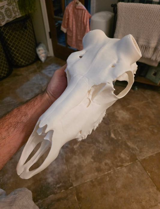 Caribou 3D Printed Euro Mount – Rustic Wildlife Wall Decor