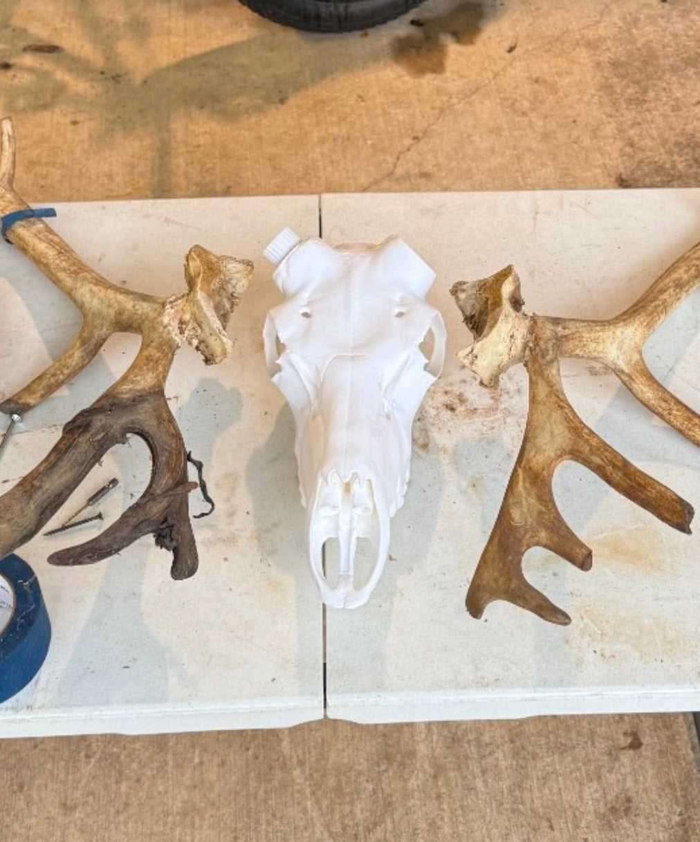 Caribou 3D Printed Euro Mount – Rustic Wildlife Wall Decor